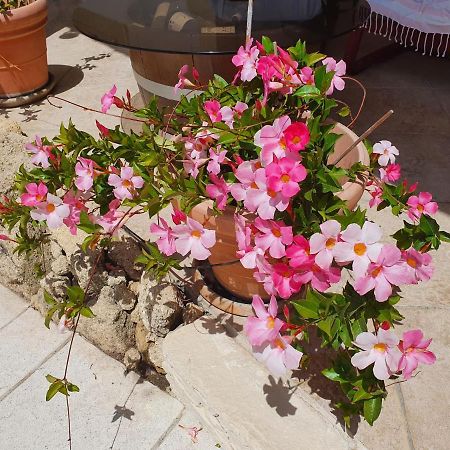 Fenetre Sur Les Alpilles Bed and Breakfast Saint-Martin-de-Crau Exteriör bild