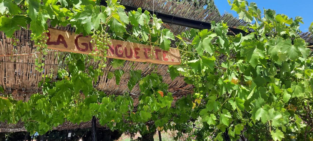 Fenetre Sur Les Alpilles Bed and Breakfast Saint-Martin-de-Crau Exteriör bild
