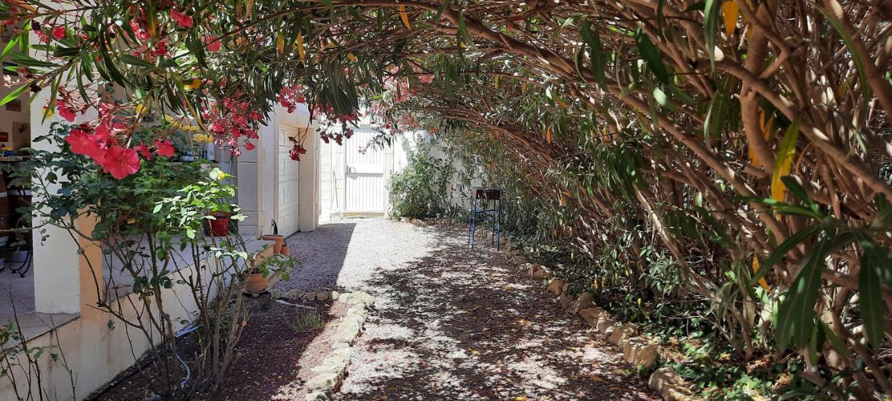Fenetre Sur Les Alpilles Bed and Breakfast Saint-Martin-de-Crau Exteriör bild