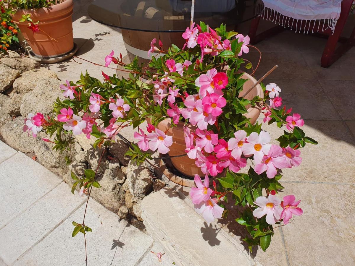 Fenetre Sur Les Alpilles Bed and Breakfast Saint-Martin-de-Crau Exteriör bild