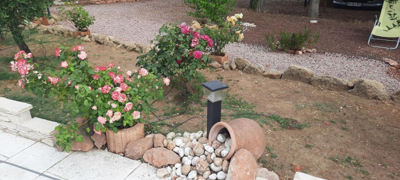 Fenetre Sur Les Alpilles Bed and Breakfast Saint-Martin-de-Crau Exteriör bild